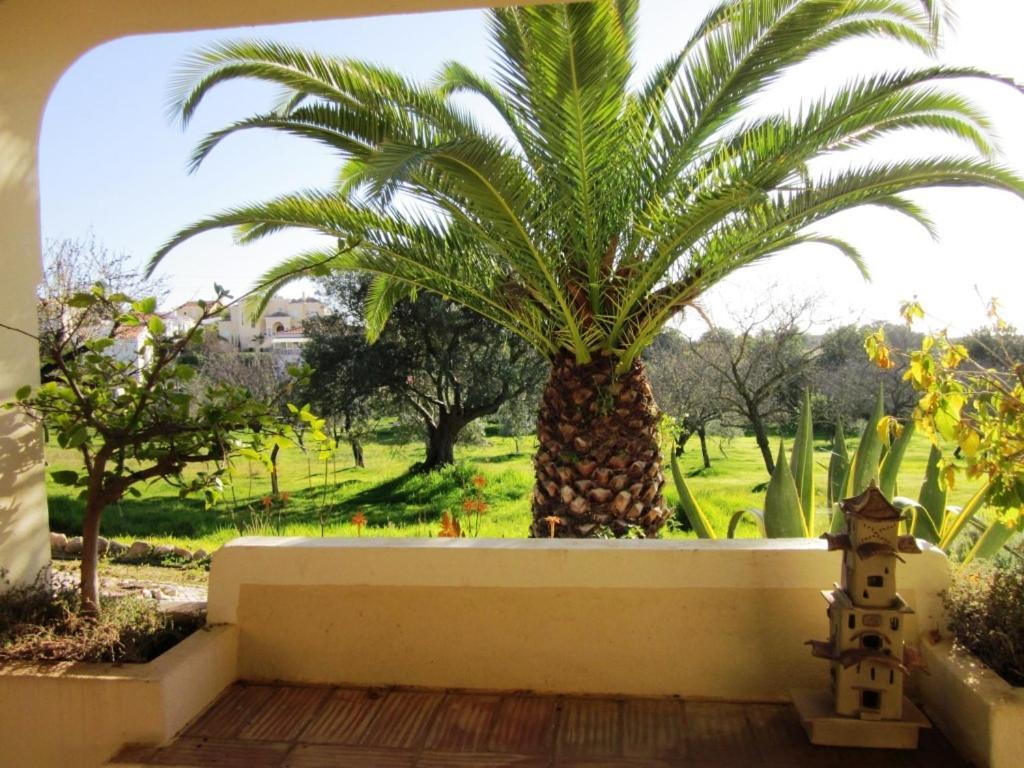 ホテルQuinta Mimosa ローレ 部屋 写真