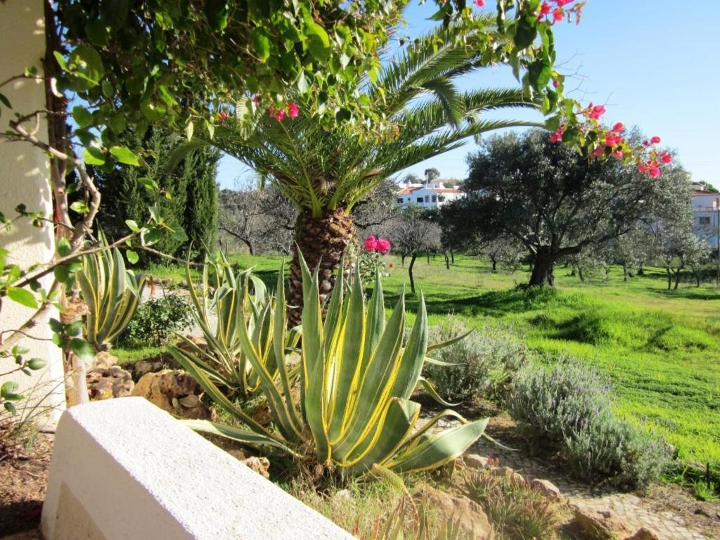 ホテルQuinta Mimosa ローレ 部屋 写真